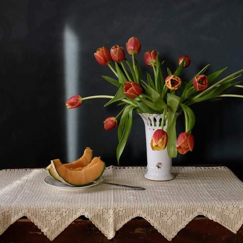 Тюльпаны весной