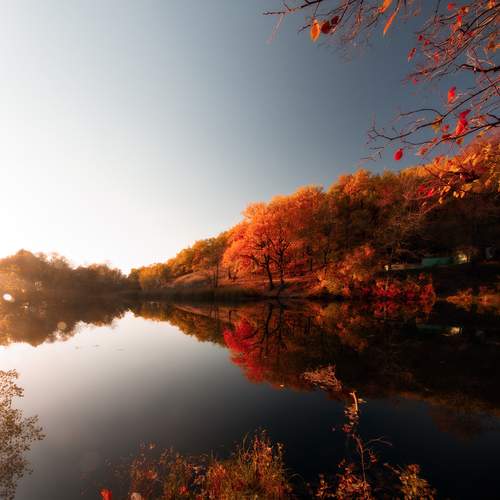 Photo #13418510