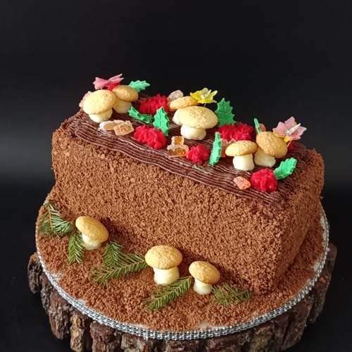 Photo #13418516