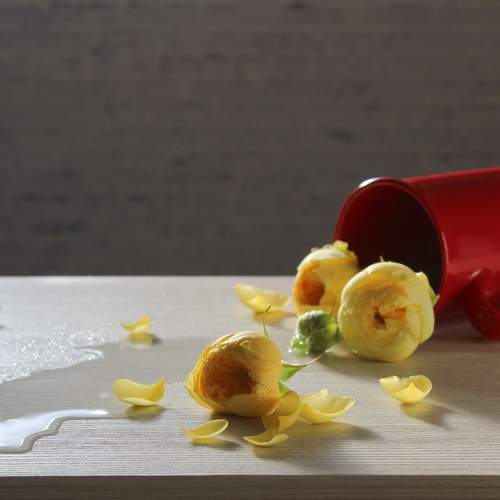 Photo #13418603