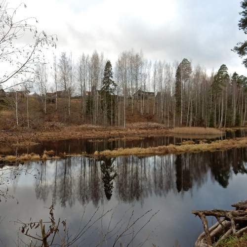 Photo #13418610