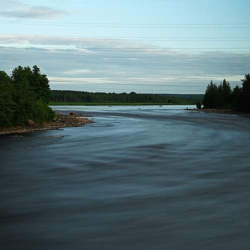 Photo #13418638