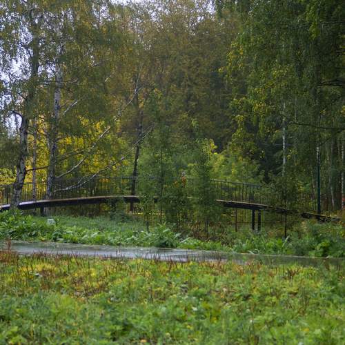Photo #13418815