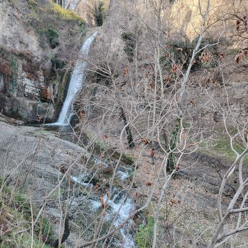 Photo #13418831