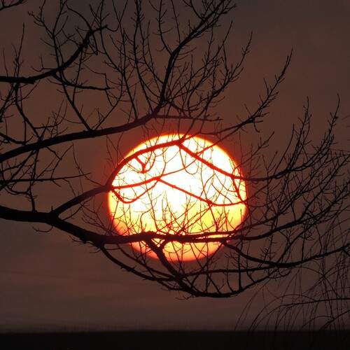 Photo #13418945