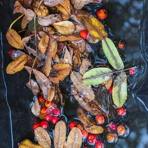 Photo #13418957