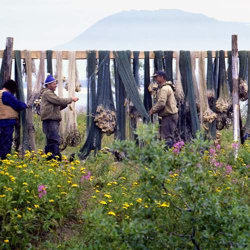 Photo #13418989