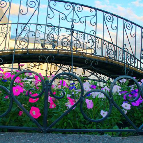 Photo #13418990