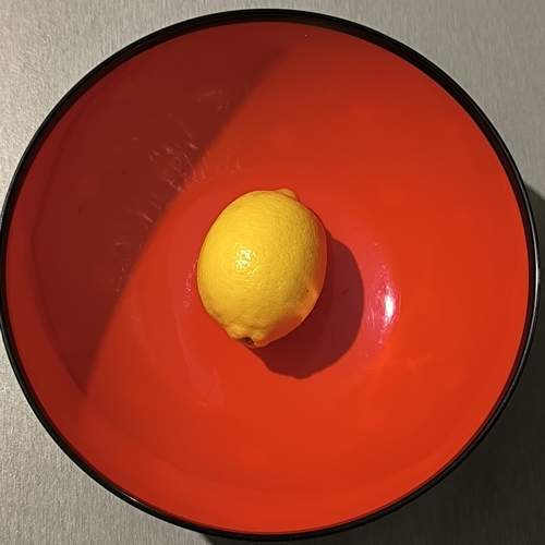 Photo #13419020