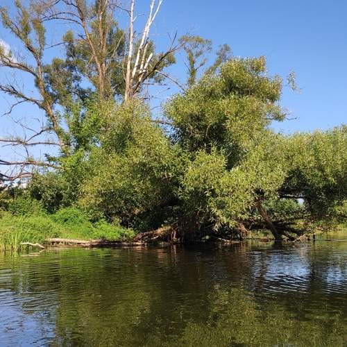 Photo #13419026
