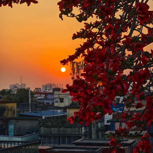 Where Spring Meets the Sun