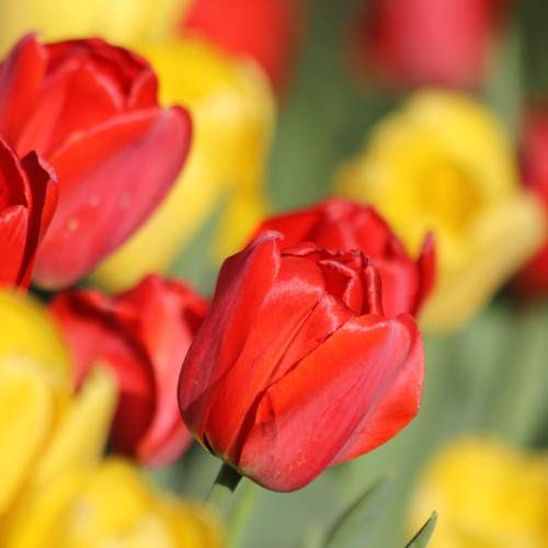 Photo #13419175