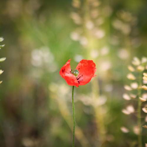 Photo #13419176