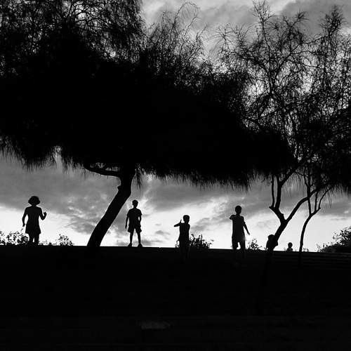 Photo #13419194