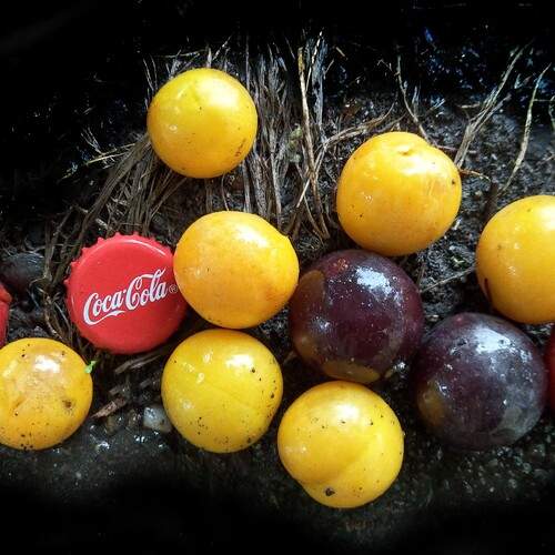 Кока-Кола / Coca-Cola