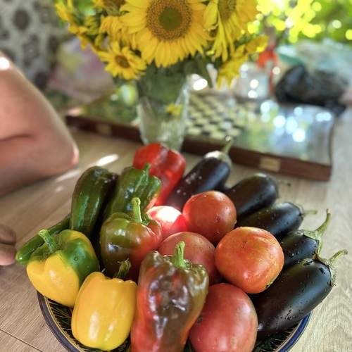 Photo #13419271