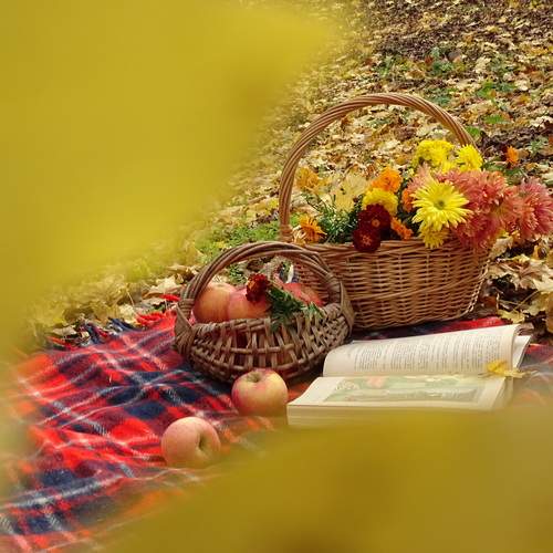 Photo #13419272
