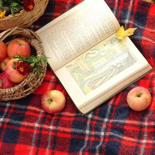 Photo #13419274