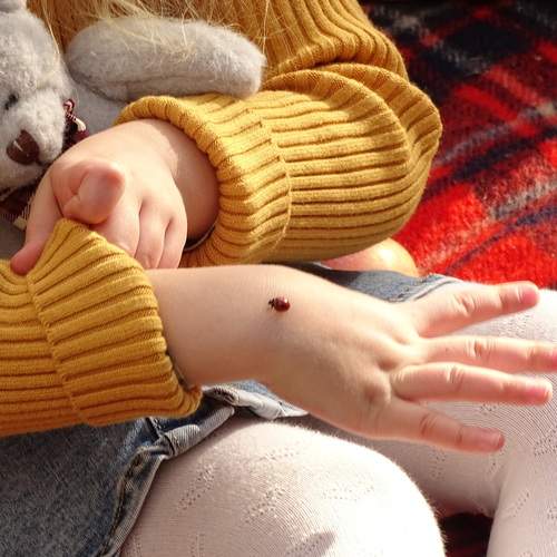 Photo #13419275