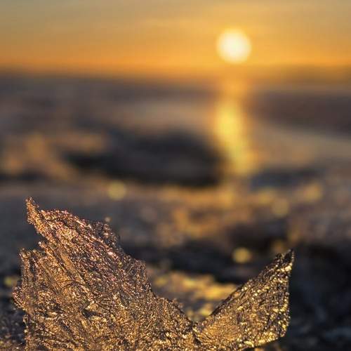 Photo #13419277