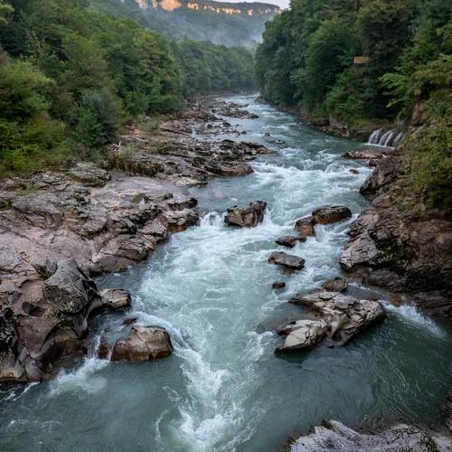 Photo #13419343