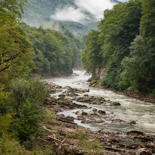 Photo #13419344