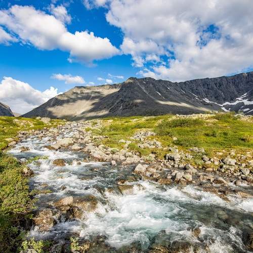 Photo #13419345
