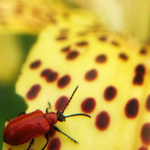 Photo #13419359