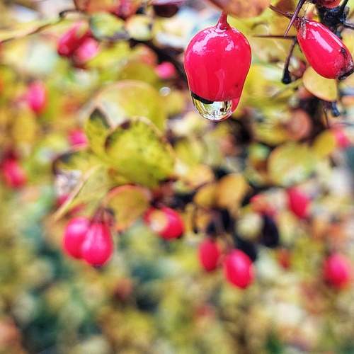 Photo #13419363