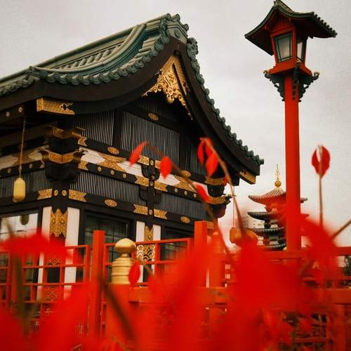 Photo #13419502