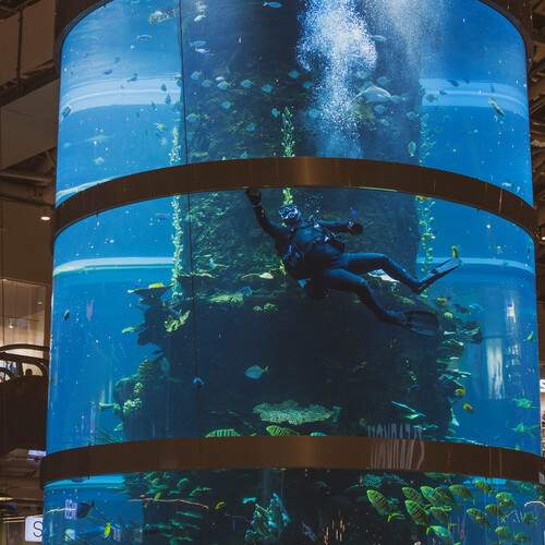 Фотография #13419548