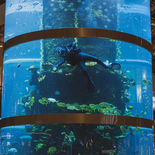 Фотография #13419550