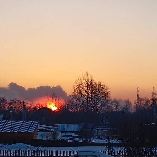 Фотография #13419575