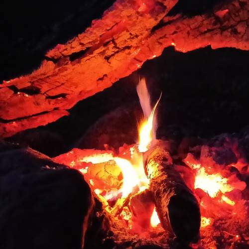 Фотография #13419588