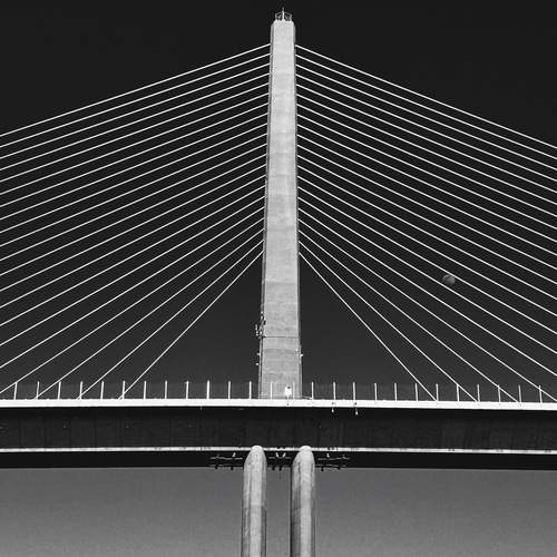 Photo #13419634