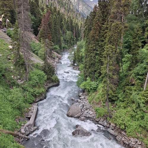 Photo #13419645
