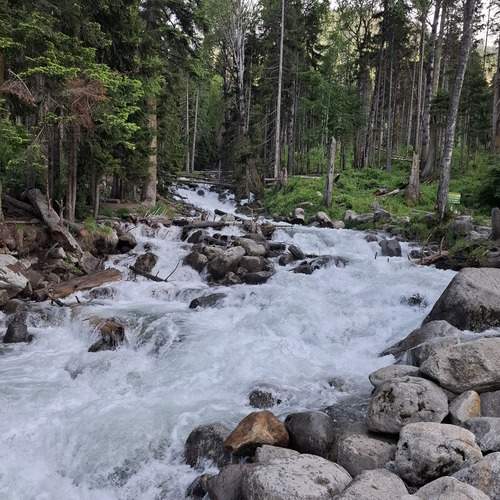 Photo #13419646