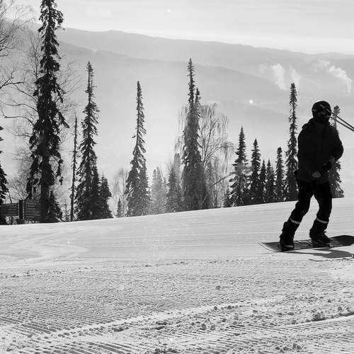 Photo #13419662
