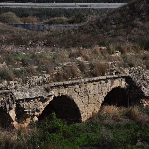 Photo #13419706