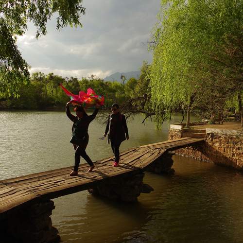 Photo #13419790
