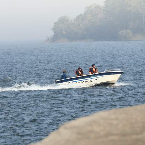 Photo #13420052