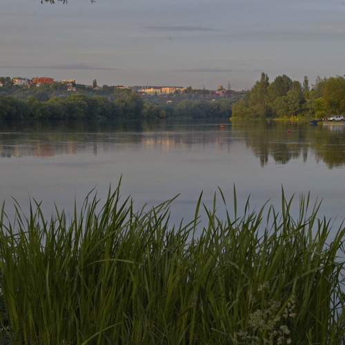 Photo #13420133