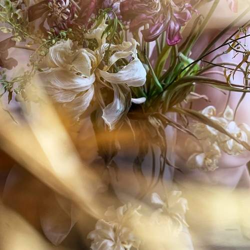 Photo #13420300
