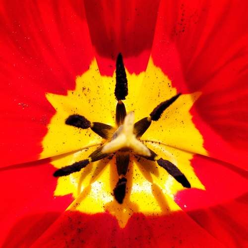 Photo #13420339