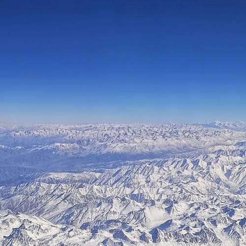 Photo #13420383