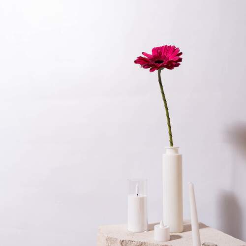 Photo #13420419