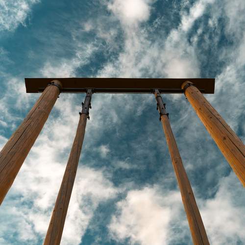 Photo #13420517