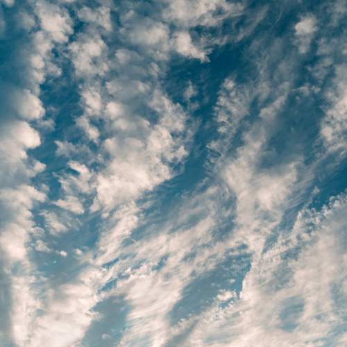 Photo #13420519