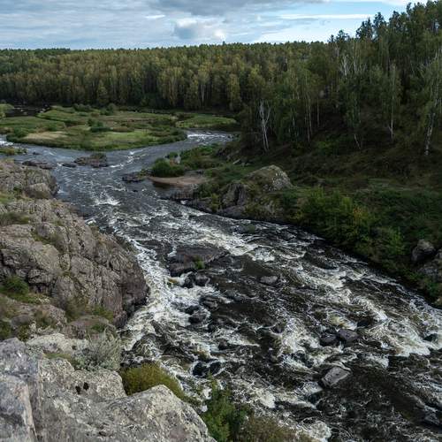 Photo #13420563