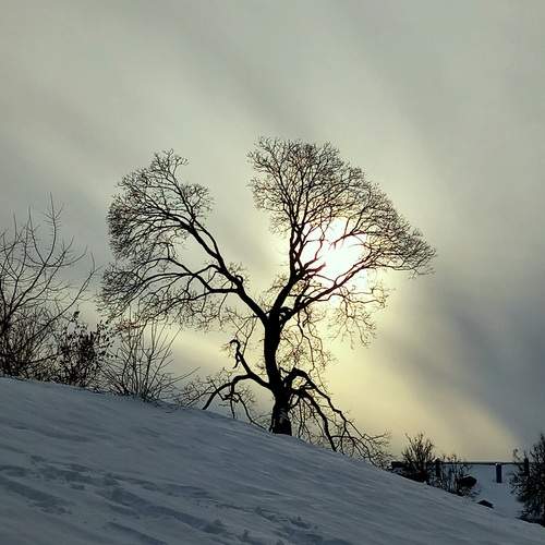 Photo #13420578